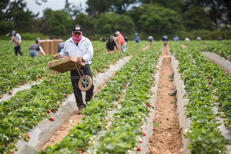 CA migrant farmworker housing closes, forces migration | Sacramento Bee