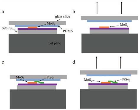 Highly Responsive and Self-Powered Photodetector Based on PtSe2/MoS2 ...