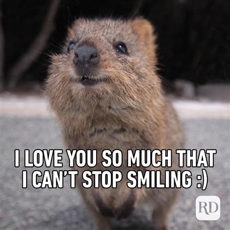 20 Love Memes for Every Occasion | Funny "I Love You" Memes