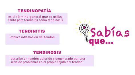 Diferencias entre Tendinopatia, tendinitis y tendinosis copia | Akro ...