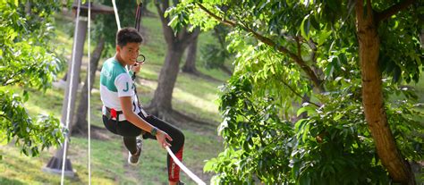 Forest Adventure 的图像结果