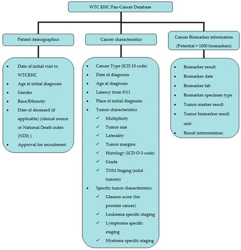 The Development of a WTC Environmental Health Center Pan-Cancer Database