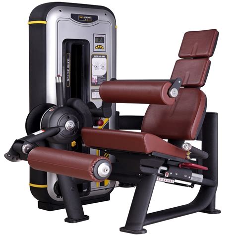 Leg Curl Machine Exercise 的图像结果