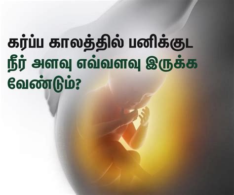 முதல் மூன்று மாத கர்ப்பம் உணவுகள்! (3 months) : First Trimester ...