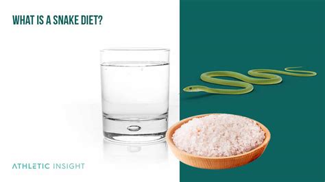 Image result for Python Snake Diet