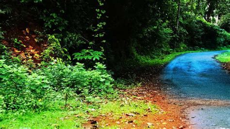 Heard of Anjarle? Visit this undiscovered gem soon to be the Goa of ...