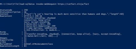 Invoke-RestMethod 的图像结果