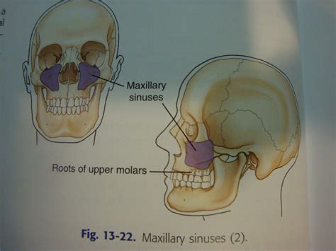 IHMC Public Cmaps (2)