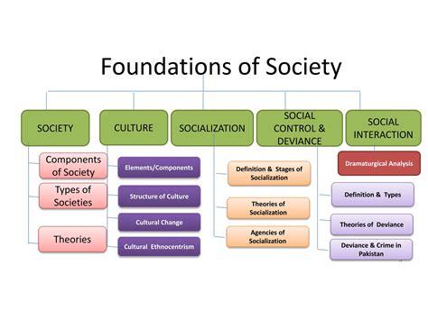NOA-Sociology-01.pptxsociologynotesforcss | PPTX | Science