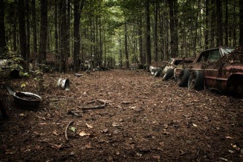 Old Car City: Where Nature Reclaimed Thousands of Vintage Vehicles