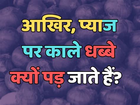 Trending Quiz : आखिर, प्याज पर काले धब्बे क्यों पड़ जाते हैं ...