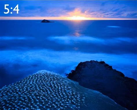Phone Aspect Ratio Vertical Definition, Types & Tips