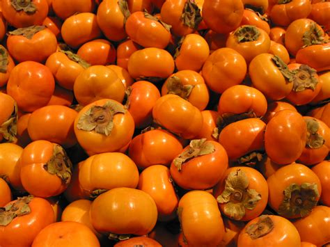 FREE Persimmon Photo, Persimmon Picture, Persimmons Image, Royalty-Free ...
