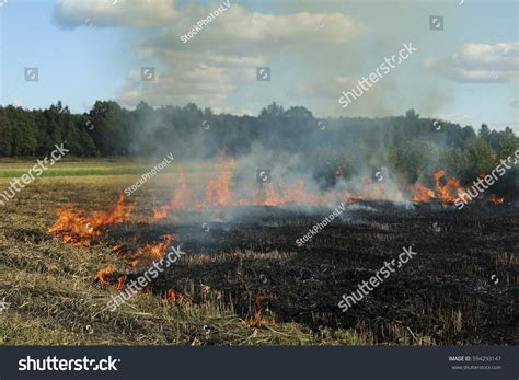 Image result for Spring Smoke