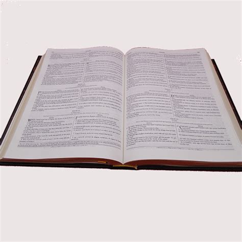 Image result for Douay-Rheims Baronius