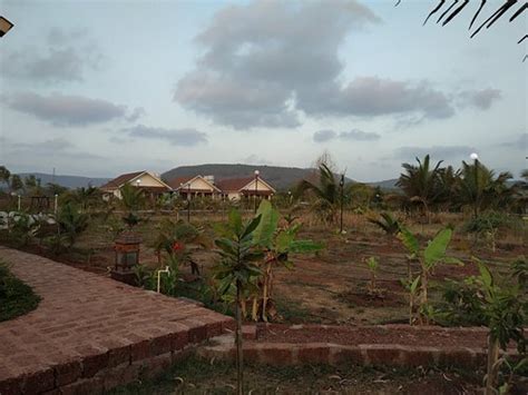 EXOTICA BEACH RETREATS DIVEAGAR (Maharashtra) - Specialty Hotel Reviews ...