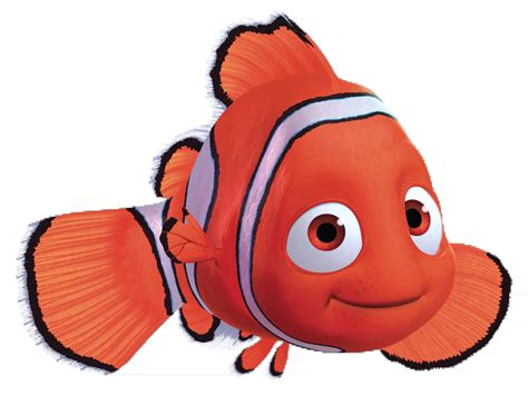 Finding Nemo Project 的图像结果