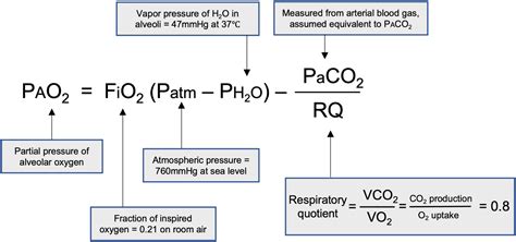 Image result for PaO2 High