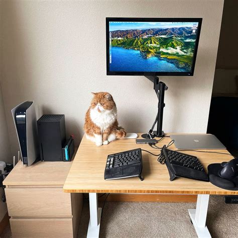 Image result for Win Emulator