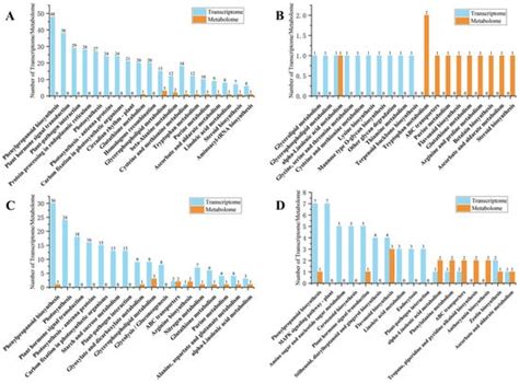 The Integration of Metabolomics and Transcriptomics Provides New ...