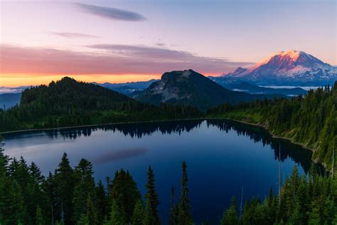 Image result for Nature Sample