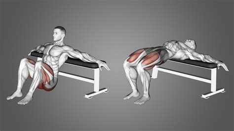 Image result for Hip Thrust Muscles