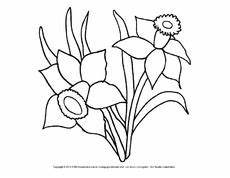 malvorlagen blumen pdf ausmalbild narzissen 4 pdf blumen ausmalbilder blumen malvorlagen blumen pdf ausmalbild narzissen 4 pdf blumen ausmalbilder blumen