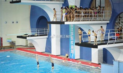厉害了！跳水小将为湛江代表团夺得本届省运首金|湛江|代表团|省运会_新浪新闻