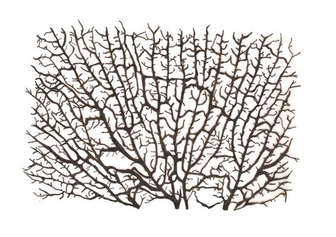 Image result for Patterns Simplae