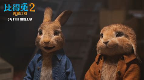 《比得兔2：逃跑计划》多城提前观影获好评 大V激情为萌兔打call - 360娱乐，你开心就好