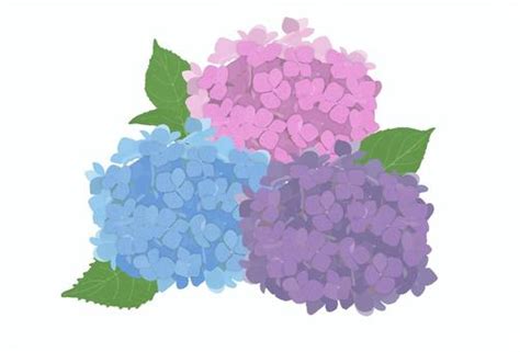 Image result for Layout Code for HTML
