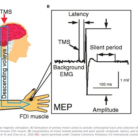 Image result for Conduction Questions Calculation