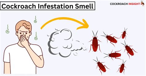 Cockroach Reaction 的图像结果