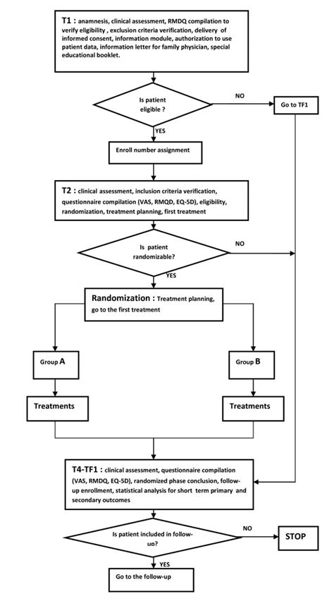 Image result for Randomization Process