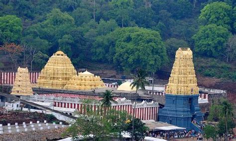 COVID 19 casts shadow over Chandanotsavam; Simhachalam temple restricts ...