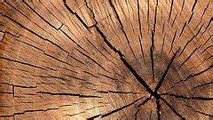 δ34S stable isotope ratio analysis of wood - Elementar