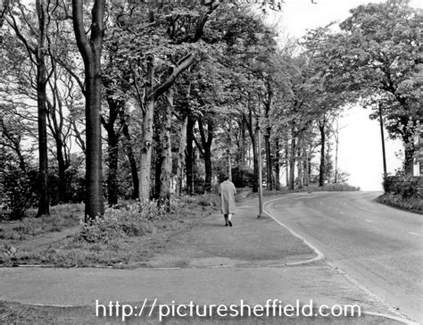 Searching Picture Sheffield