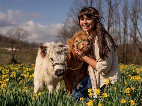 Image result for vs Code Red