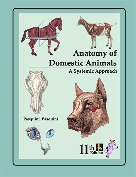 Buy Anatomy of Domestic Animals: Systemic & Regional Approach: A ...