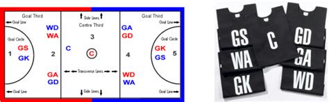 Netball Position 的图像结果