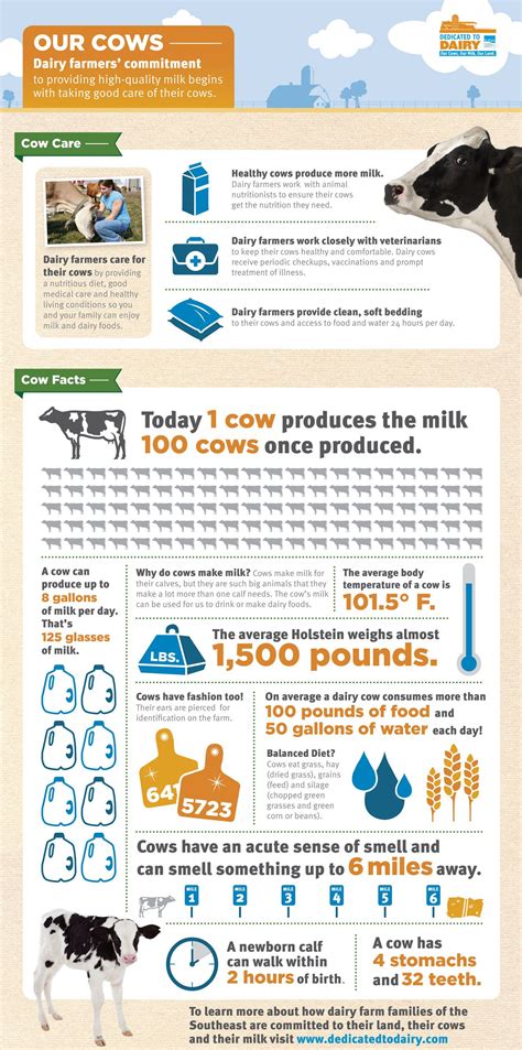 Fun facts about Dairy Cows: Types and Milk Production