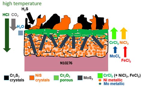 Corrosion of N10276 in a H2S, HCl, and CO2 Containing Atmosphere at 480 ...