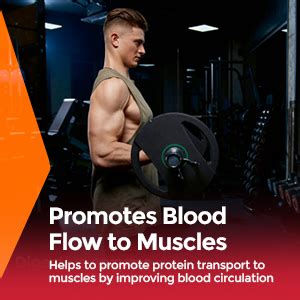 FAST&UP L-Arginine Essentials 1500 mg, Effervescent L-Arginine ...