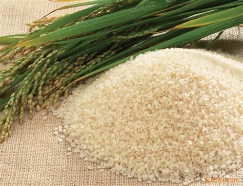 白米的热量(卡路里cal),白米的功效与作用,白米的食用方法,白米的营养价值