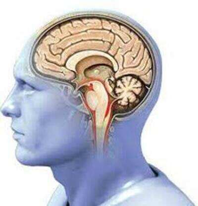 Part of brain that makes you go 'ouch' identified - Times of India
