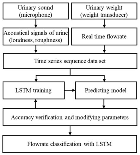 Classification of Bladder Emptying Patterns by LSTM Neural Network ...