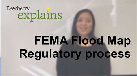 Image result for FEMA Process Flow