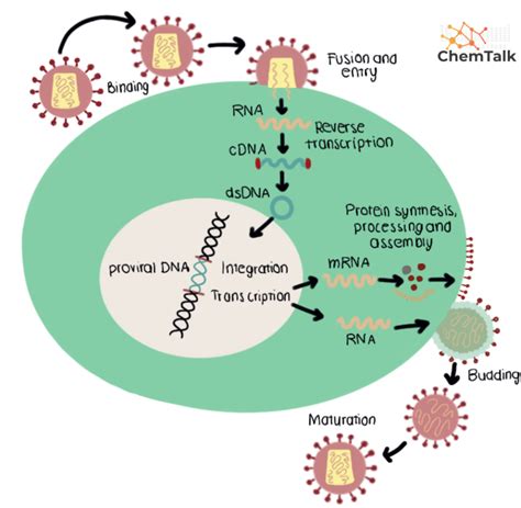 Image result for Virus Scanning Electron Microscope
