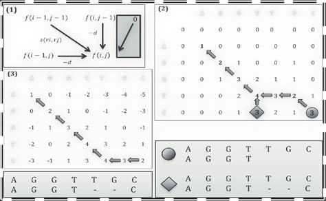Needleman-Wunsch Tutorial 的图像结果