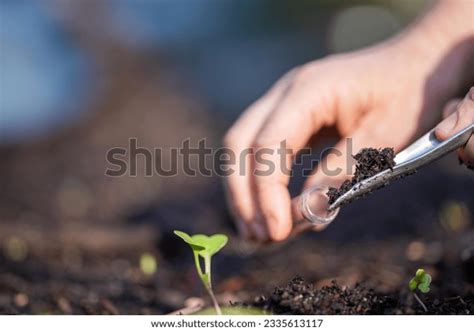 Image result for How to Take Soil Sample for Testing